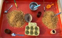 Experimentació amb farina de mandarina1