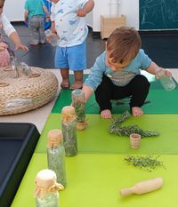 Experimentació flors aromàtiques 3