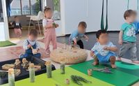 Experimentació flors aromàtiques 4