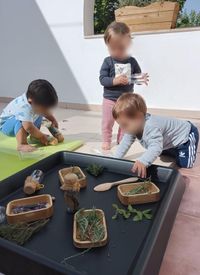 Experimentació flors aromàtiques 6