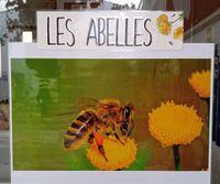 Cartell Aula Abelles p3