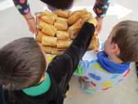 IMG-20240208-WA0013