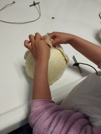 IMG-20230607-WA0091
