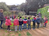 EXCURSI&Oacute; 3