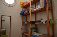 aula suport dins